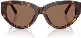 Dolce & Gabbana 55mm Cat Eye Sunglasses in Havana /Dark Brown at Nordstrom