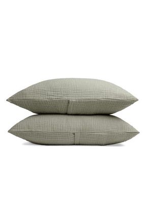 Parachute Cloud Cotton Sham Set in Moss at Nordstrom, Size Standard