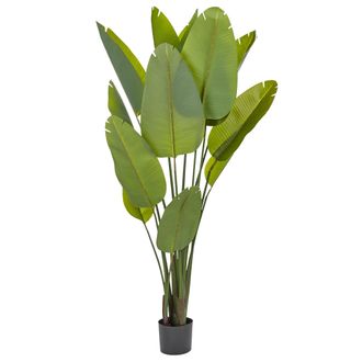 Beliani Planta Artificial En Maceta Para Interior Decoraci&oacute;n Moderna De Pl&aacute;stico Maceta Negra 187 Cm Banana Tree