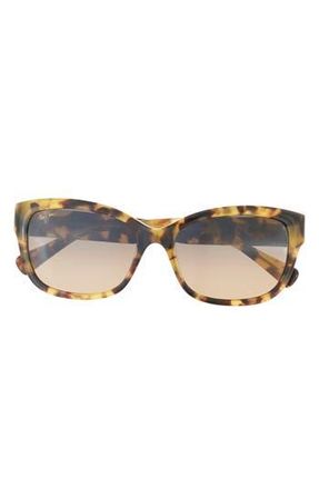 Maui Jim 55mm Polarized Cat Eye Sunglasses in Tortoise Tortoise Bronze at Nordstrom Rack