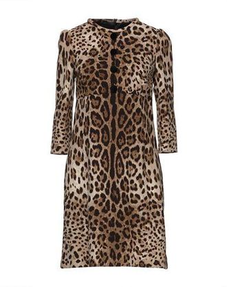 Dolce & Gabbana Mini dresses