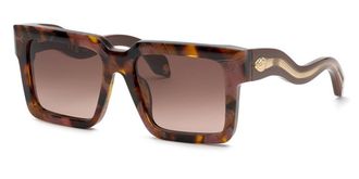 Roberto Cavalli SRC055 01GQ Mens Sunglasses Tortoiseshell Size 55