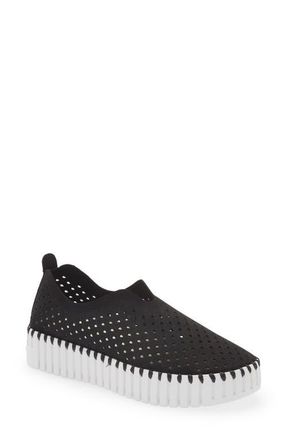 Ilse Jacobsen Tulip Sneaker in Black at Nordstrom, Size 10Us