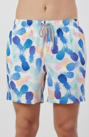 Rainforest Watercolor Pineapple Swim Trunks in Ivory at Nordstrom Rack, Size X-Large