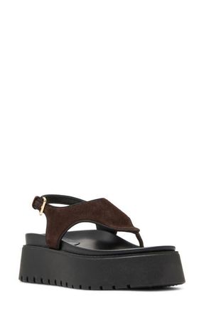 Steve Madden Tabor Slingback Platform Wedge Sandal in Brown Suede at Nordstrom, Size 8.5