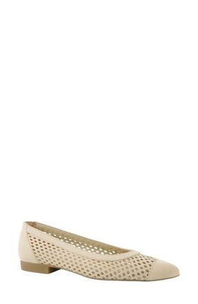 Paul Green Deanna Pointed Cap Toe Flat in Biscuit Suede at Nordstrom, Size 10.5Us
