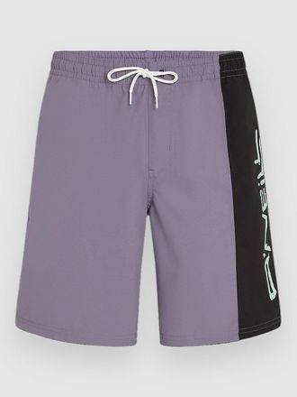 O'Neill Retro 19 Boardshorts patroon