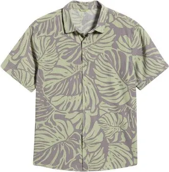 Roark Bless Up Short Sleeve Button-Up Shirt in Shk at Nordstrom, Size X-Large