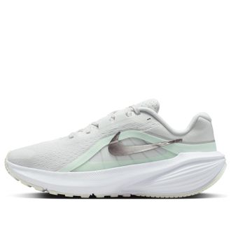 Nike (WMNS) Nike Downshifter 14 Off White Barely Green IB1899-103