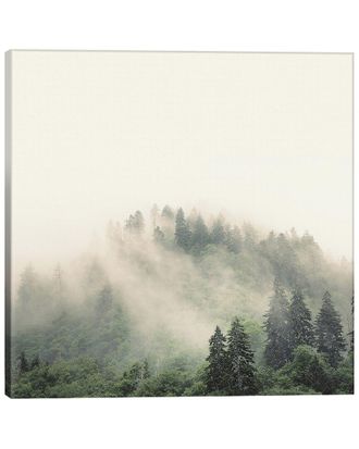 iCanvas Icanvas Elevation No. 2, Smoky Mountains By Nicholas Bell Photography Wall Art