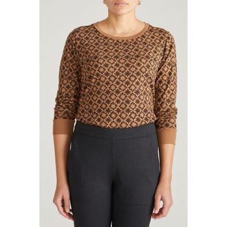 Universal Standard T Rex Long Sleeve Tee in Brown Hacienda Print at Nordstrom, Size 4Xl