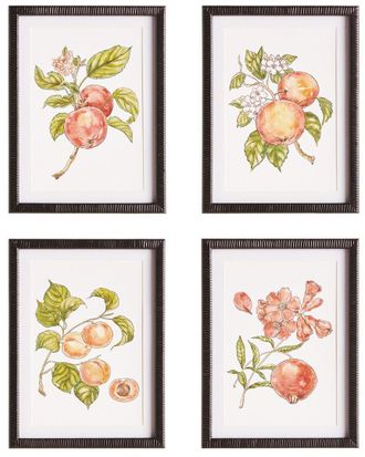 Napa Home & Garden Set Of 4 Autumnal Fruit Prints