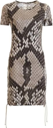 Roberto Cavalli Macro Python Print Dress, Brand Size 44 ( US Size 10 )