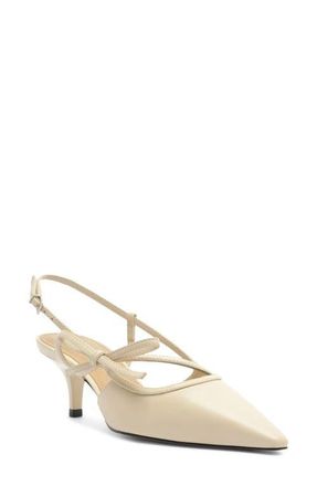 Arezzo Tessa Pointed Toe Slingback Pump in Panacota at Nordstrom, Size 6.5