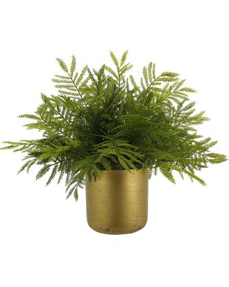 Creative Displays Inc. Outdoor Uv-Rated Ostrich Fern Arrangement In Fiberstone Pot