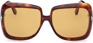 Tom Ford Lorelai 59mm Square Sunglasses in Dark Havana /Brown at Nordstrom Rack