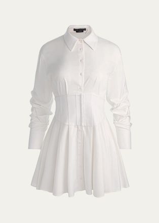 Alice & Olivia Edie Corset Button-Front Mini Dress