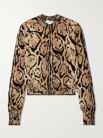 Stella McCartney Pullover In Maglia Jacquard Cloud - Multicolore