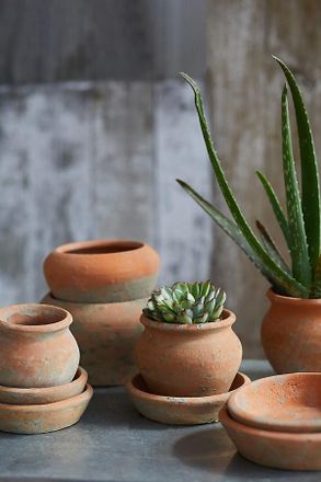 Terrain Earth Fired Clay Natural Curve Pots + Saucers, Set of 3 Sizes