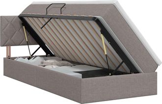 vidaXL Cama Con Almacenamiento Y Colch&oacute;n Topo 100 X 200 Cm Terciopelo Vidaxl