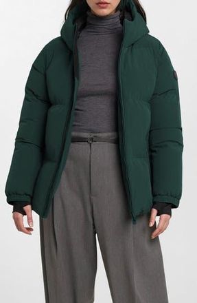 Noize Stacy Water Resistant Hooded Puffer Jacket in Forest at Nordstrom Rack, Size Large Regular
