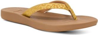 Sanuk Cosmic Shores Water Friendly Flip Flop in Gold at Nordstrom, Size 10