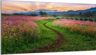 OEM Placa Protectora De Vidrio Para Estufa 90x52 Monta&ntilde;as