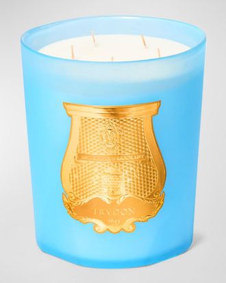 Cire Trudon Versailles Grand Candle, Garden in Spring, 2.8 kg