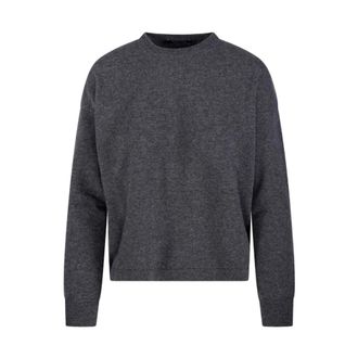 Max Mara Round-neck Knitwear, female, Gray, Size: XL Nebbie Sweater