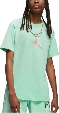 Nike Jordan Air Jordan Sport DNA T-Shirt Green DO8899-379