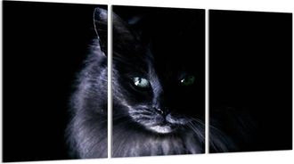 OEM Placa Protectora De Vidrio Para Estufa 3x30x52