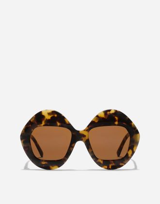 Dolce & Gabbana Sunglasses Italian Tailoring - Woman New Arrivals Havana Onesize