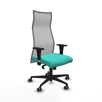 Piqueras y Crespo Silla De Oficina Albacete Piqueras Y Crespo B1c036g Turquesa