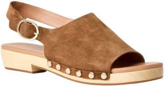 Andr&eacute; Assous Oona Slingback Sandal in Cuero at Nordstrom, Size 7.5