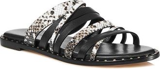 Charles by Charles David Source Leather Sandal