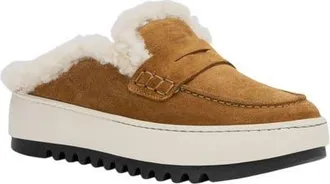 Aquatalia Amata Genuine Shearling Lined Weatherproof Mule in Camel Suede at Nordstrom, Size 6.5