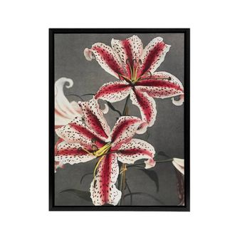 Artery8 Pink Spotted Lily Flower Blooms Framed Canvas Wall Art Print Kazumasa | Size: W24 x H32