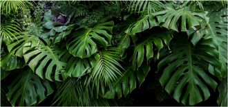 Schubiger M&ouml;bel Digitaldruck auf Glas Gr&uuml;nes Bl&auml;ttermeer