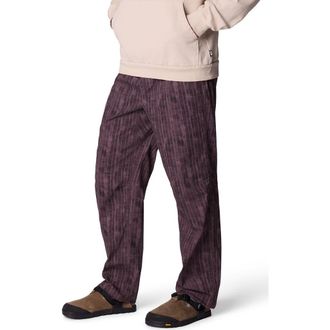 Mountain Hardwear Rockrydge Climbing Pants in Purple Sage Gingham Print at Nordstrom, Size Xx-Large