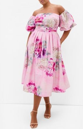 City Chic Rosalee Floral Off the Shoulder Cotton Dress in Gilded Garden at Nordstrom, Size Xxxs
