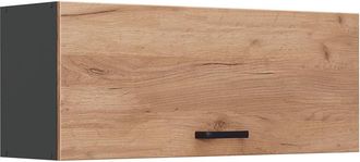 Vicco Armario Colgante R-line, Roble Dorado/antracita, 100 Cm Plano, Vicco