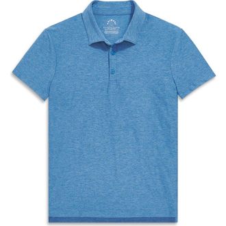 primary Adult Flexknit Polo in Blueberry at Nordstrom, Size Xx-Large