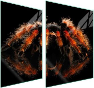 OEM Placa Protectora De Vidrio Para Estufa 70x52 Spider