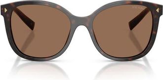 Prada 53mm Square Sunglasses in Tartaruga Radica /Dark Brown at Nordstrom