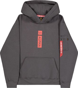 Alpha Industries Hoodie ALPHA INDUSTRIES Alpha Puff Print Hoodie, Herren, Gr. XL, grau (vintage grau), Obermaterial: 80% Baumwolle, 20% Polyester, regular fit, Sweatsh