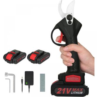 OEM S&eacute;cateur &Eacute;lectrique Sans Fil, Con 2 Pilas De 21 V, Moteur Sans Balai, Secador Para Jardinage, Secador Adaptado Para Jardins, Ramas, Macetas, Noir