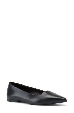 Vagabond Hermine Pointed Toe Flat in Black at Nordstrom, Size 11Us