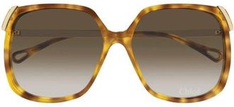 Chlo&eacute; 60mm Gradient Square Sunglasses in Havana Brown at Nordstrom