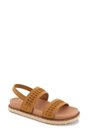Gentle Souls Nico Slingback Sandal in Wood Nubuck at Nordstrom, Size 6.5