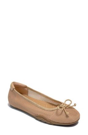 Aerosoles Onyx Mesh Ballet Flat in Beige Bisque at Nordstrom, Size 8.5